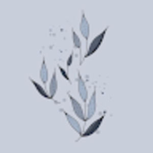 Meet your Posher, Nessa